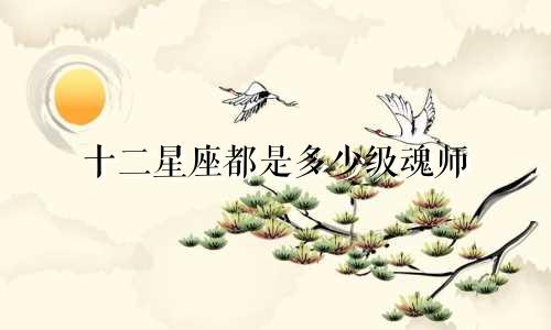 十二星座都是多少级魂师