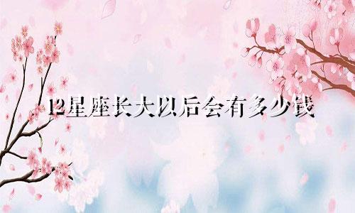 12星座长大以后会有多少钱