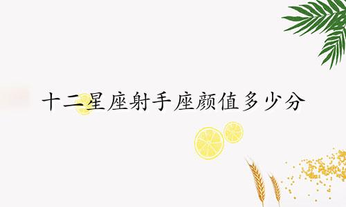 十二星座射手座颜值多少分