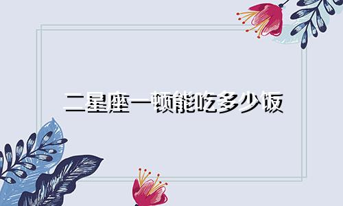 二星座一顿能吃多少饭