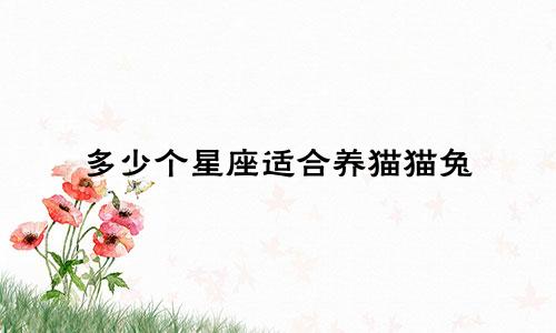 多少个星座适合养猫猫兔