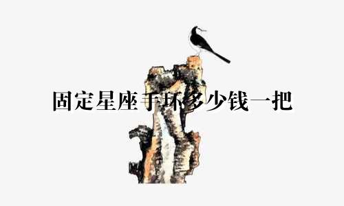 固定星座手环多少钱一把