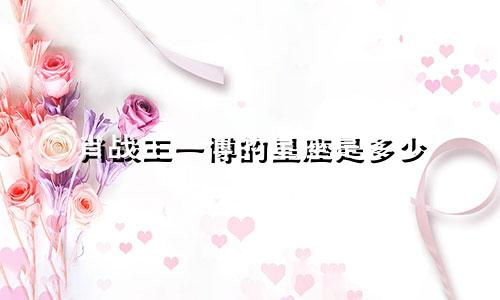 肖战王一博的星座是多少