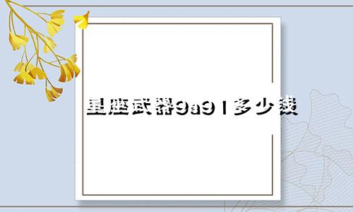 星座武器9a91多少钱