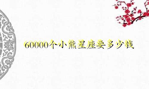 60000个小熊星座要多少钱
