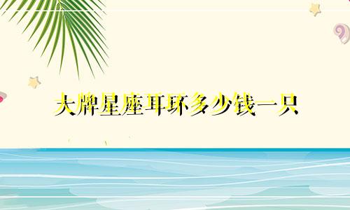 大牌星座耳环多少钱一只