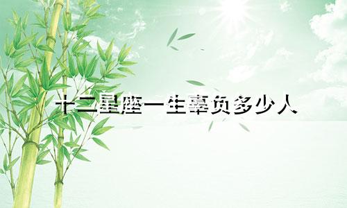 十二星座一生辜负多少人
