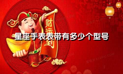 星座手表表带有多少个型号