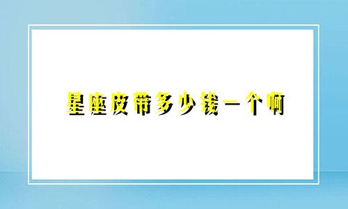 星座皮带多少钱一个啊