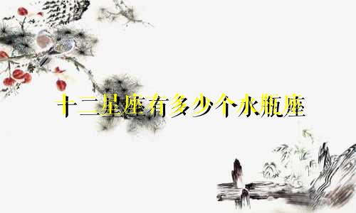 十二星座有多少个水瓶座