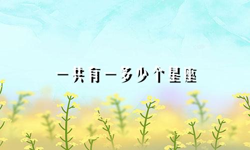 一共有一多少个星座