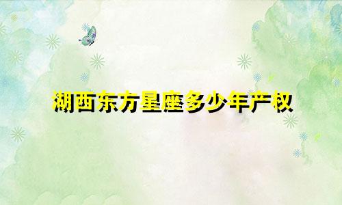 湖西东方星座多少年产权
