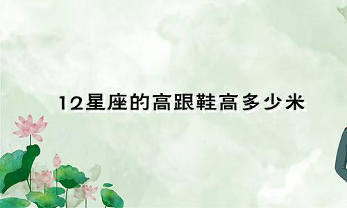 12星座的高跟鞋高多少米