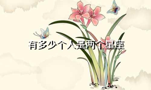 有多少个人是两个星座