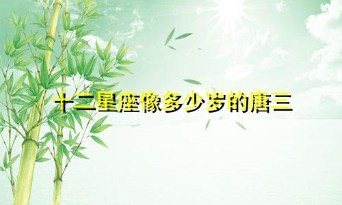 十二星座像多少岁的唐三