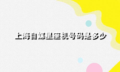 上海自媒星座机号码是多少