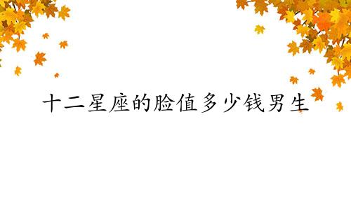 十二星座的脸值多少钱男生
