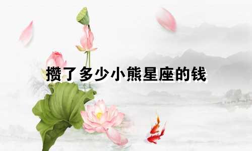 攒了多少小熊星座的钱