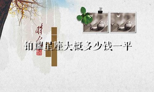 铂耀星座大概多少钱一平