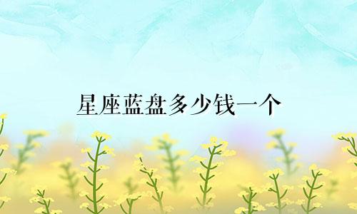 星座蓝盘多少钱一个