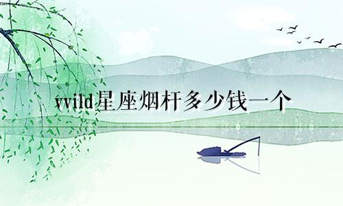 vvild星座烟杆多少钱一个