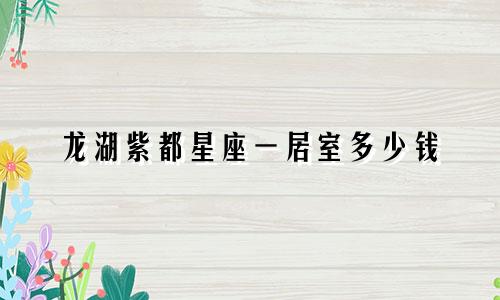 龙湖紫都星座一居室多少钱