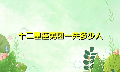 十二星座男团一共多少人