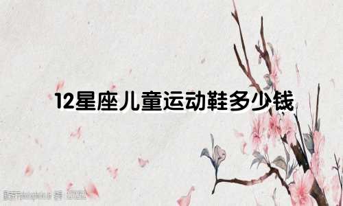 12星座儿童运动鞋多少钱