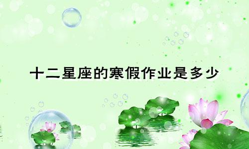 十二星座的寒假作业是多少