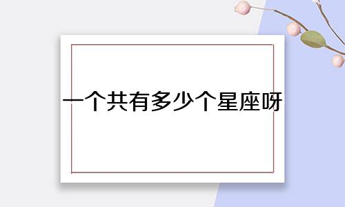 一个共有多少个星座呀