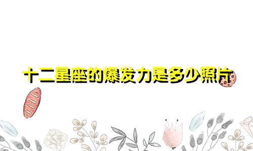 十二星座的爆发力是多少照片