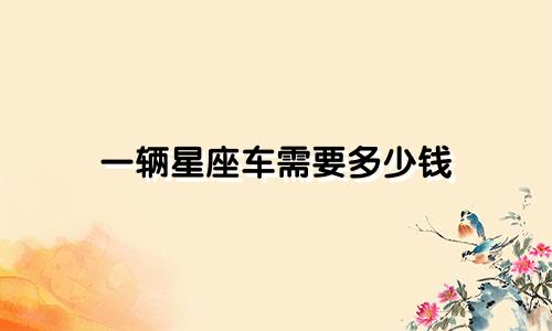 一辆星座车需要多少钱