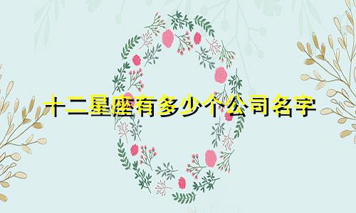 十二星座有多少个公司名字
