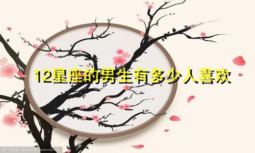 12星座的男生有多少人喜欢