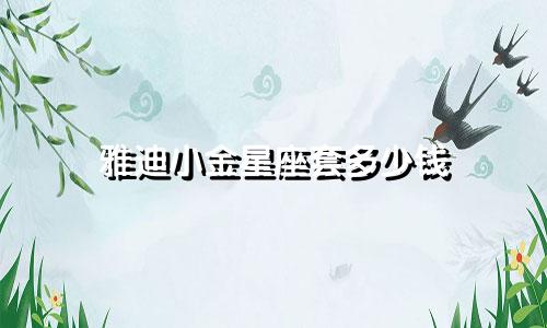 雅迪小金星座套多少钱