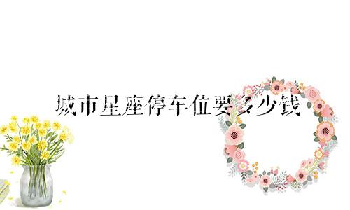 城市星座停车位要多少钱