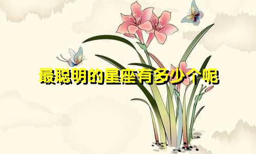 最聪明的星座有多少个呢