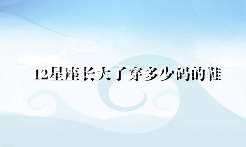 12星座长大了穿多少码的鞋