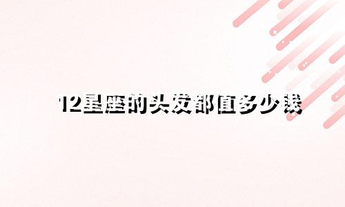 12星座的头发都值多少钱