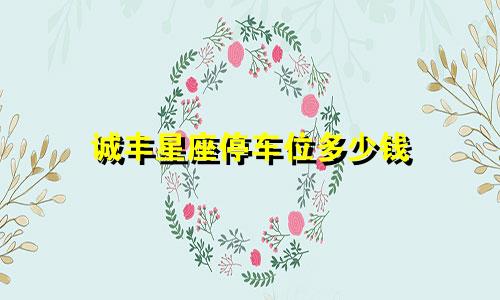 诚丰星座停车位多少钱