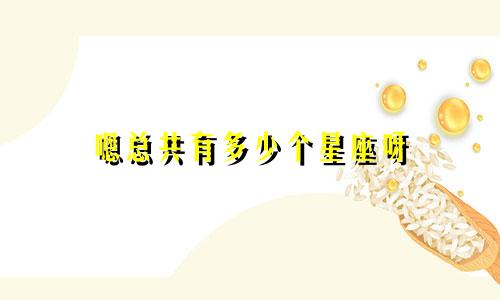 嗯总共有多少个星座呀