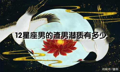 12星座男的渣男潜质有多少