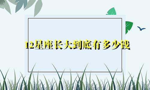 12星座长大到底有多少钱