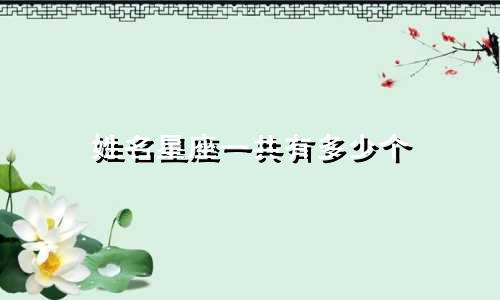姓名星座一共有多少个