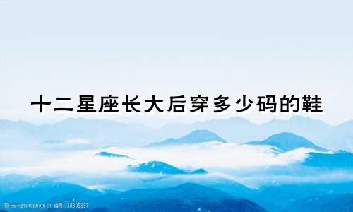 十二星座长大后穿多少码的鞋