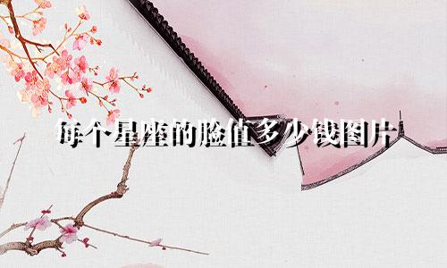 每个星座的脸值多少钱图片