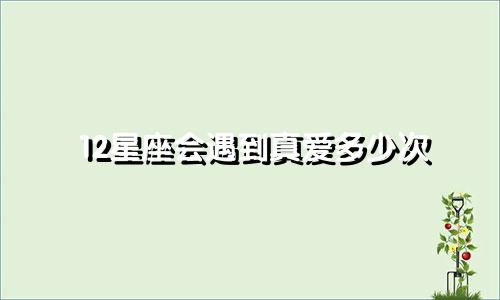 12星座会遇到真爱多少次