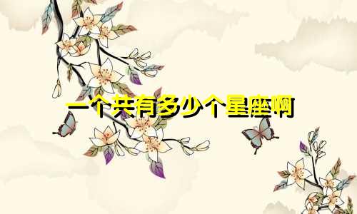一个共有多少个星座啊