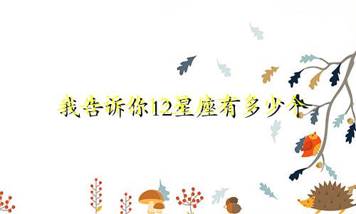我告诉你12星座有多少个