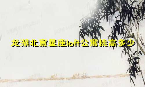 龙湖北宸星座loft公寓挑高多少